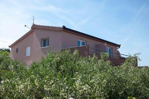 Apartman Darko روغوزنيكا المظهر الخارجي الصورة